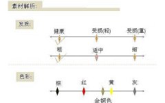 发型比例设计——吉林美发学校