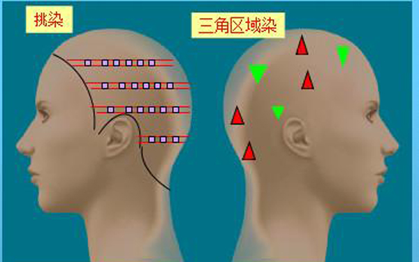 吉林勃朗美发学校