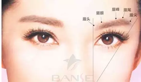 纹绣师如何设计眉形