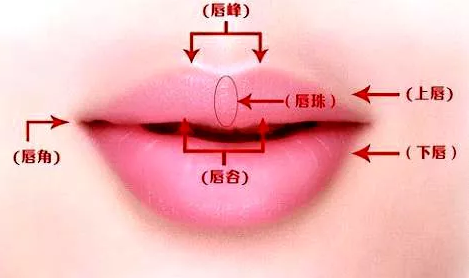 纹唇不仅能改变颜色还能改变唇形